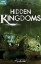 Gizli Krallık – Hidden Kingdom 2014 Türkçe Dublaj izle