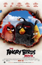 Angry Birds Türkçe Dublaj izle 2016 Tek Parça