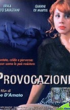 Provocation - Tavan Arası Türkçe Dublaj izle 1995 Erotik Film
