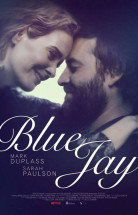 Blue Jay Türkçe Dublaj izle 2016 Aşk Filmi