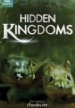 Gizli Krallık – Hidden Kingdom 2014 Türkçe Dublaj izle
