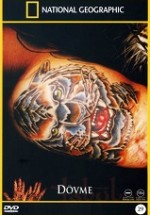 Dövme Belgeseli – National Geographic Tattoo Türkçe Dublaj izle