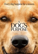 A Dog's Purpose izle (2017) Türkçe Altyazılı